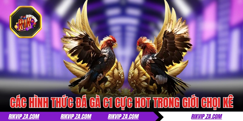 Các hình thức đá gà C1 cực hot trong giới chọi kê