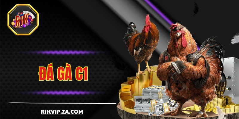 Đá Gà C1- Nơi Hội Tụ Những Chiến Kê Máu Lửa Hàng Đầu